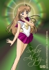 Sailor Algiz - Very classy.  The color combinations are very nice.  I like how this senshi looks without gloves.  The hair was shortened considerably which makes the legs seems way too long, but it's anime so it's okay.   I really like the lighting effects of the background, they give it a nice subtle glow around the head.  The font got cut off on the 'l' in 'Sailor,' but that's life...